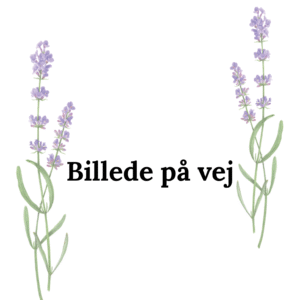 Lavendelsalve 60 ml.